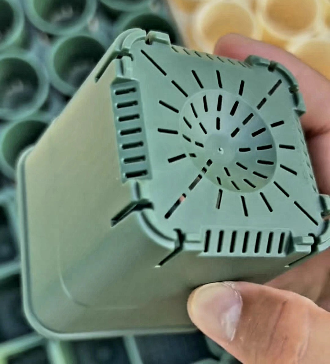 High-Quality Plastic Succulent Pot Set